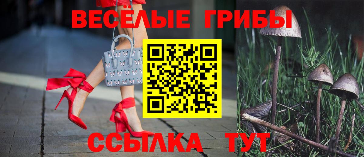 Ртищево  Галлюциногенные грибы ЛСД  Вход с VPN 
